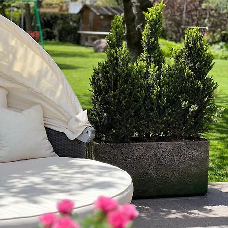 Ameiserhof Guesthouse Collalbo Zewnętrze zdjęcie